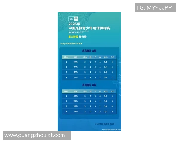 深圳足球队实力强劲荣登全国足球实力排行榜第六名